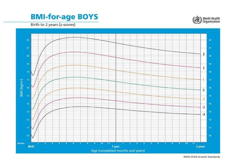 indeks massa tubuh untuk anak laki-laki 1
